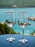Retro Gold Wine Glasses - Set of 2