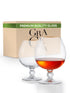 Retro Gold Cognac Glasses - Set of 2