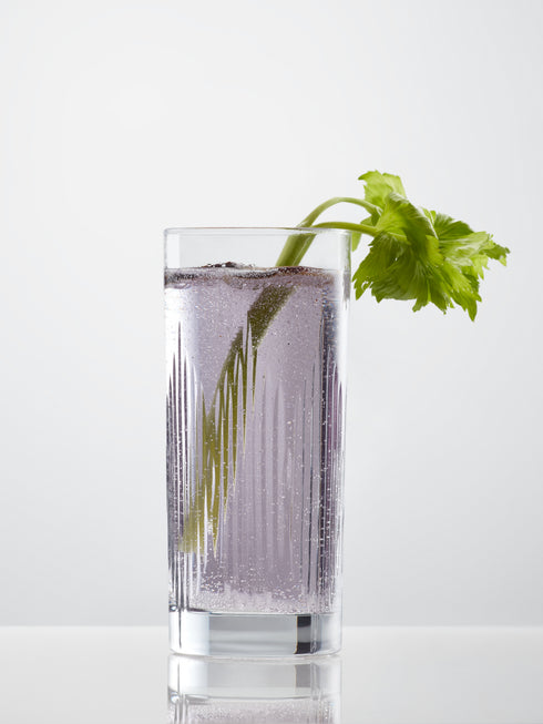 Scott Water Highball Glasses - Set of 4