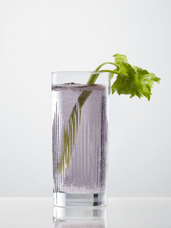 Scott Water Highball Glasses - Set of 4