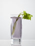 Scott Water Highball Glasses - Set of 4
