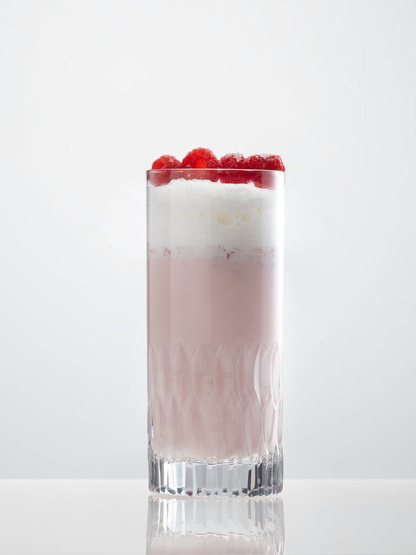 Coco Water Highball Glasses - Set of 4